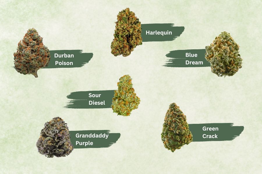 The Best Strains for Increasing Your Sex Drive