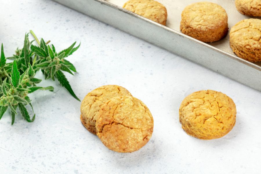Cannabis butter cookies with marijuana buds