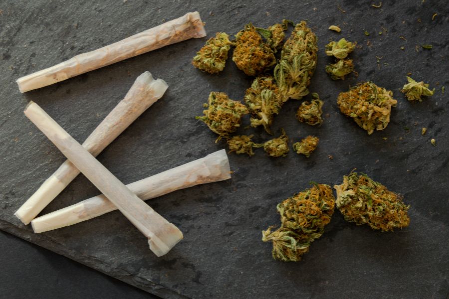 Marijuana joints ready to smoke and weed buds