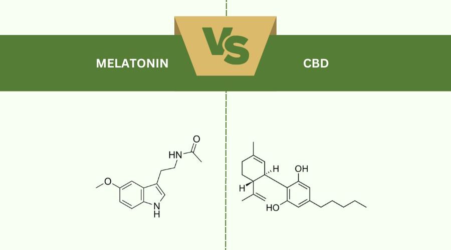 Concept of Melatonin and CBD