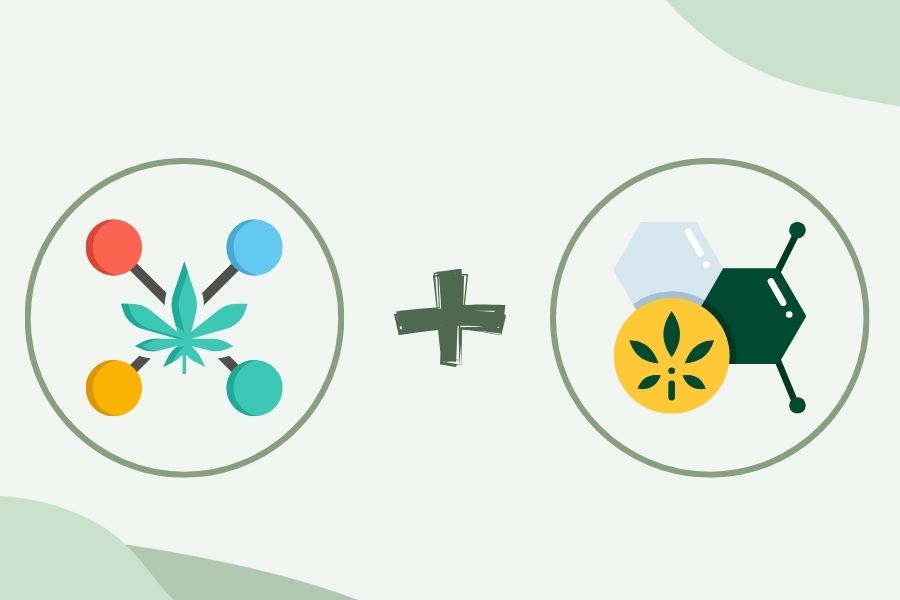 Concept of Taking Phytocannabinoids and Terpenes Together