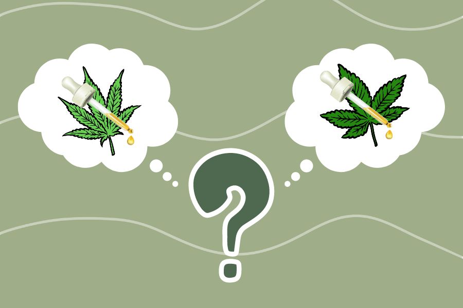 Concept of Sativa or Indica Cannabis Oil