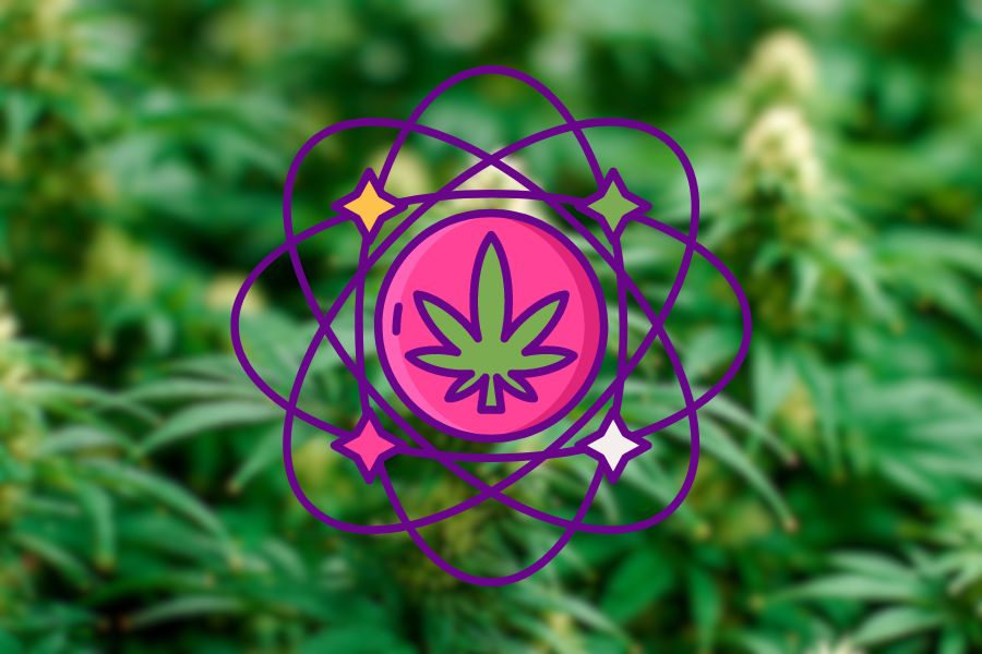 The Entourage Effect of Cannabis