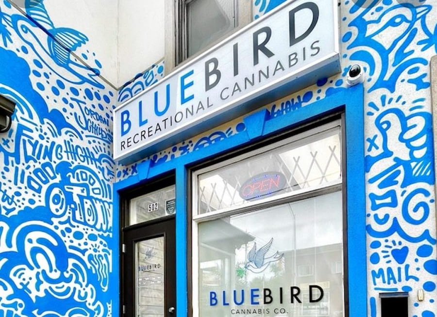 BlueBird Cannabis Co. Centretown