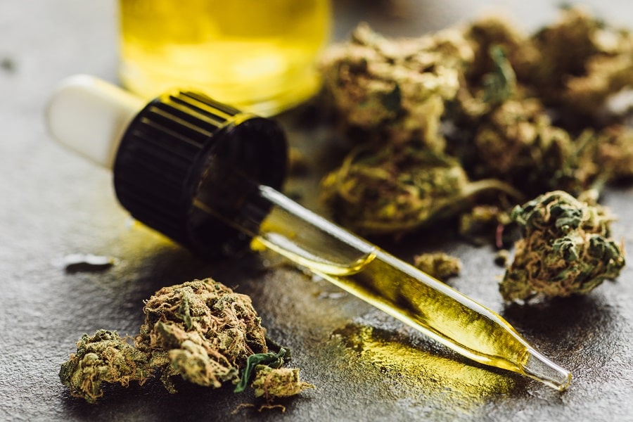 Cannabis and Champignons