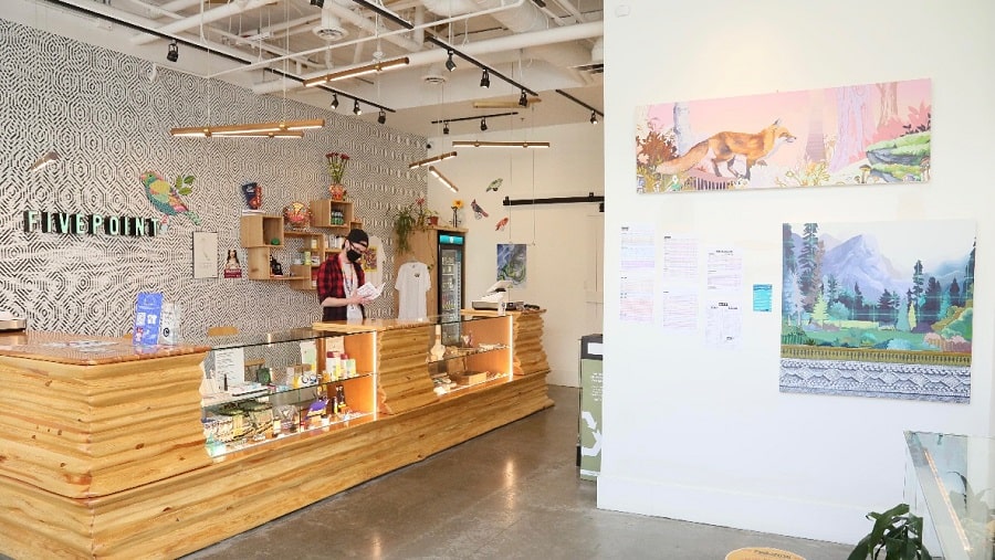 FivePoint Cannabis Bridgeland