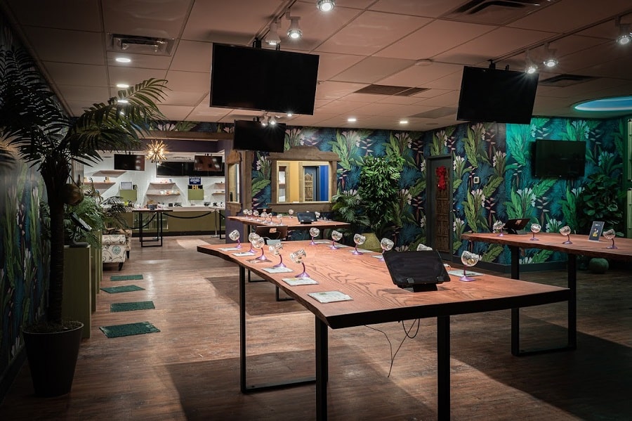 Ganjika House CBD Oil Ontario