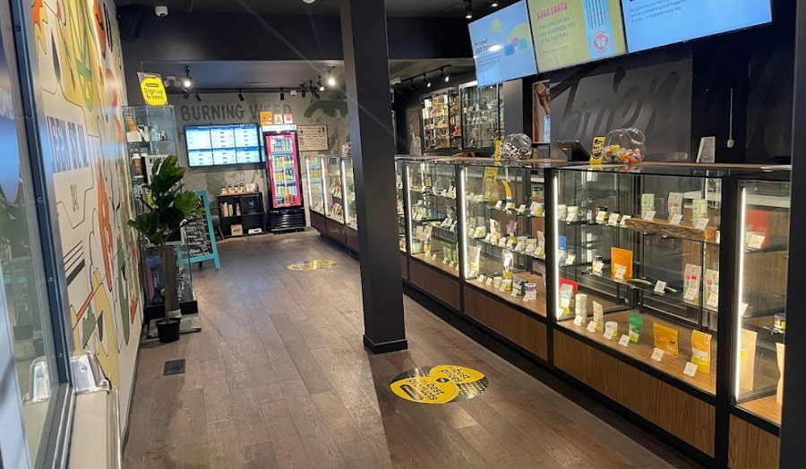 The Friendly Stranger